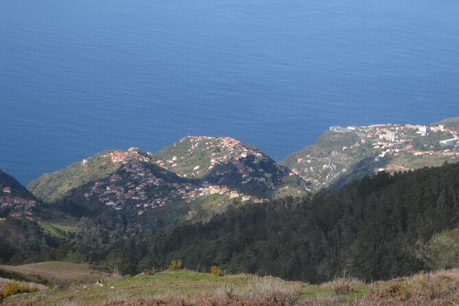 Lakes of Madeira- Alecrim Full day walk - Your guide and the flora lesson you did not plan for