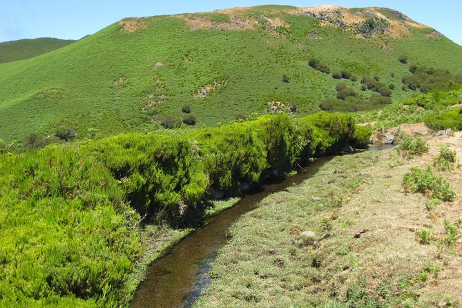 Lakes of Madeira- Alecrim Full day walk - Stop-by-stop: what you can expect along Levada do Alecrim