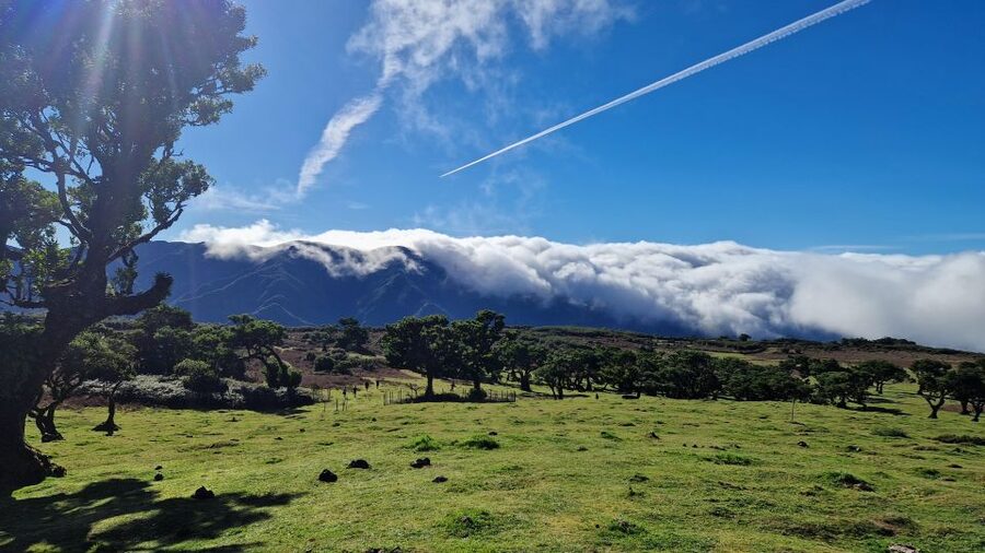 Let-Me-Surprise-You Madeira Full Day Private Tour - Espetadas and ponchas, with time to enjoy instead of rush
