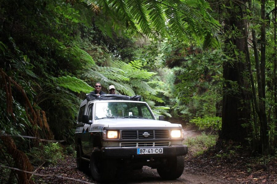 Let-Me-Surprise-You Madeira Full Day Private Tour - Getting picked up smoothly, then heading out with just your group