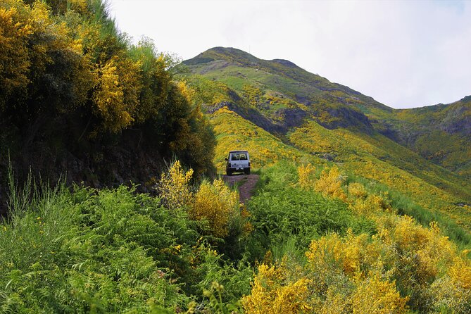 Let-Me-Surprise-You Private Full-Day Tour in All Terrain Vehicle - Off-road roads and adrenaline, with real safety built in