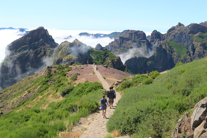 Let-Me-Surprise-You Private Full-Day Tour in All Terrain Vehicle - Food and drink stops: poncha, local bars, and what to do about lunch