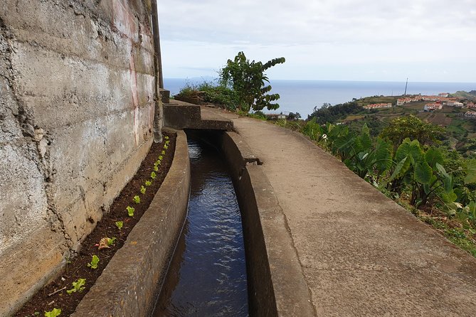 Levada da Referta - Castelejo - Terraces, plots, and local agriculture: the part you will remember