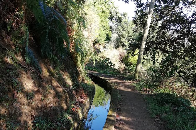 Levada da Referta - Castelejo - The 2-hour route above Porto da Cruz: what the walking really feels like