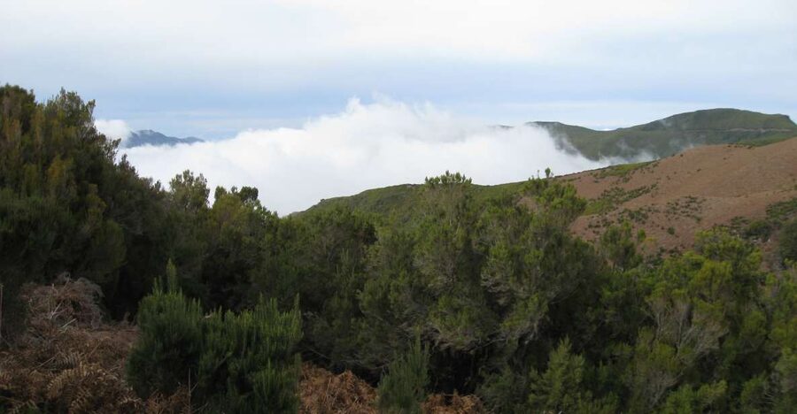Levada do Alecrim (Madeira Lakes) Full-day walk - Key things that make this walk worth your time