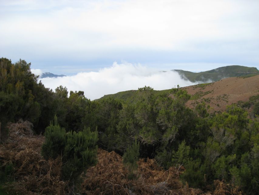 Levada do Alecrim (Madeira Lakes) Full-day walk - Terrain and effort, what to expect on flats, roots, and climbs