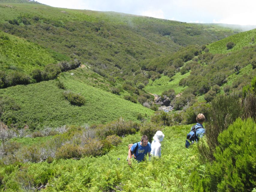 Levada do Alecrim (Madeira Lakes) Full-day walk - Guides make the difference, from flora talk to real hiking tips