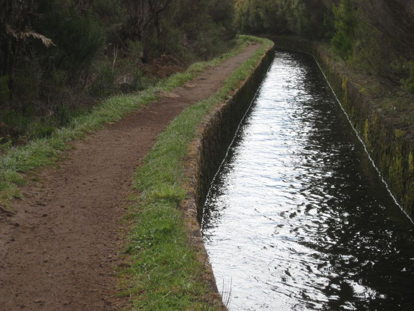 Levada do Alecrim (Madeira Lakes) Full-day walk - Who should book, and who should skip this route