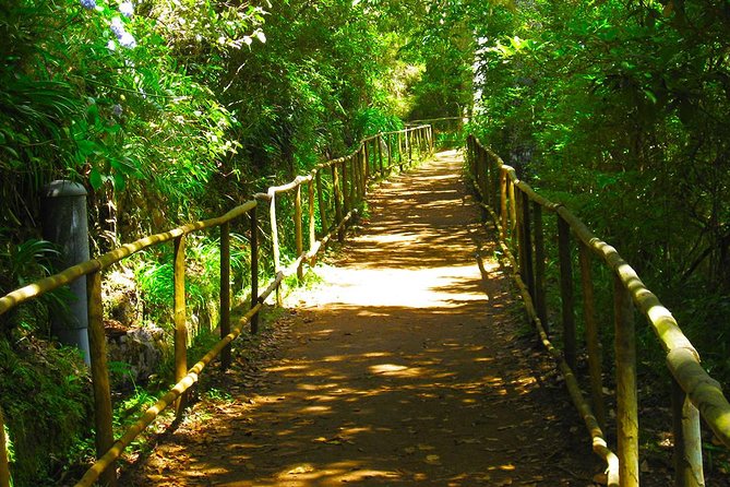 Levada do Caldeirão Verde Levada Walk from Funchal - Key highlights worth planning for