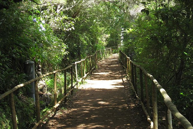 Levada do Caldeirão Verde Levada Walk from Funchal - Hotel pickup from Funchal, and how to make it easy on yourself