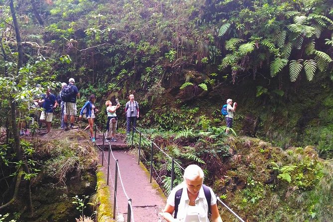 Levada do Caldeirão Verde Levada Walk from Funchal - Tunnels and the flashlight rule you should not ignore