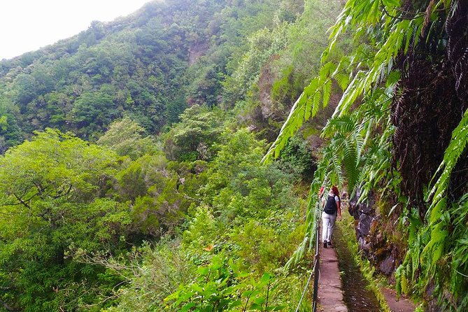 Levada do Caldeirão Verde Levada Walk from Funchal - The waterfall stop at Caldeirão Verde, and how the picnic fits