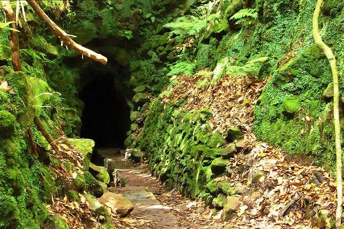 Levada do Caldeirão Verde Levada Walk from Funchal - Starting the walk near Queimadas, then following the water