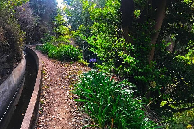 Levada do Norte - Walking Tour - What you’ll see: plantations, countryside fields, and viewpoints