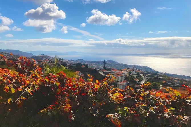 Levada do Norte - Walking Tour - How long you’ll walk, and how to pace yourself