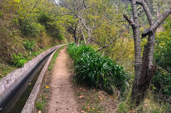 Levada do Norte - Walking Tour - Snacks and other practicalities that affect comfort