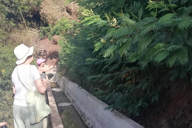 Levada Serra D´Agua - Price and Value, Is $42.01 Fair for a 2-Hour Levada Walk?