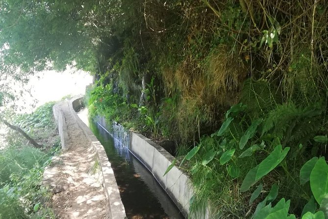 Levada Serra D´Agua - Pickup in Funchal, and Why the Van Ride Is Part of the Value