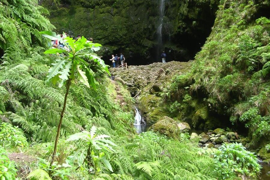 Levada Walk and Caldeirao Verde Waterfalls: Madeira - Key Things I’d Pay Attention To