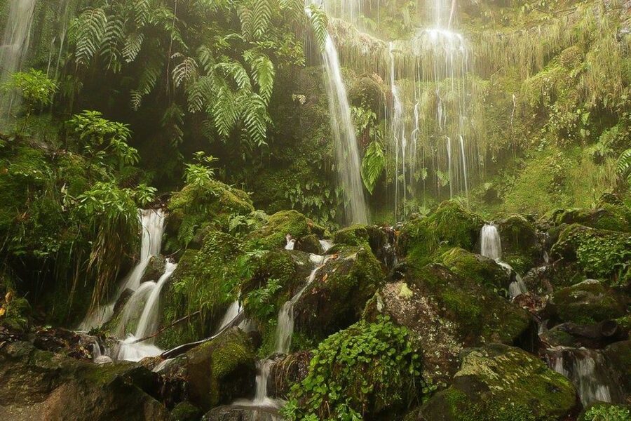Levada Walk and Caldeirao Verde Waterfalls: Madeira - Why This Madeira Levada Walk Works So Well