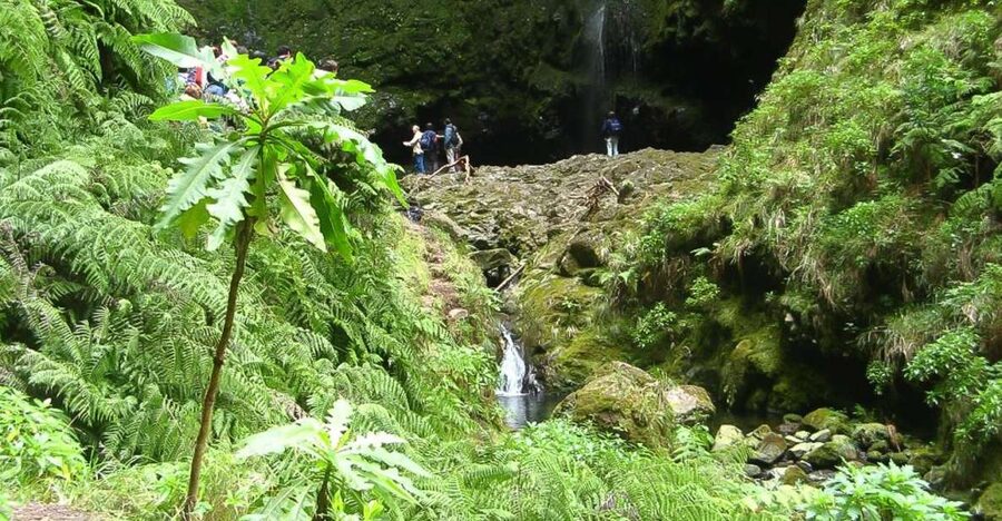 Levada Walk and Caldeirao Verde Waterfalls: Madeira - Stone Paths, Low Tunnels, and Why You Shouldn’t Skip the Torch