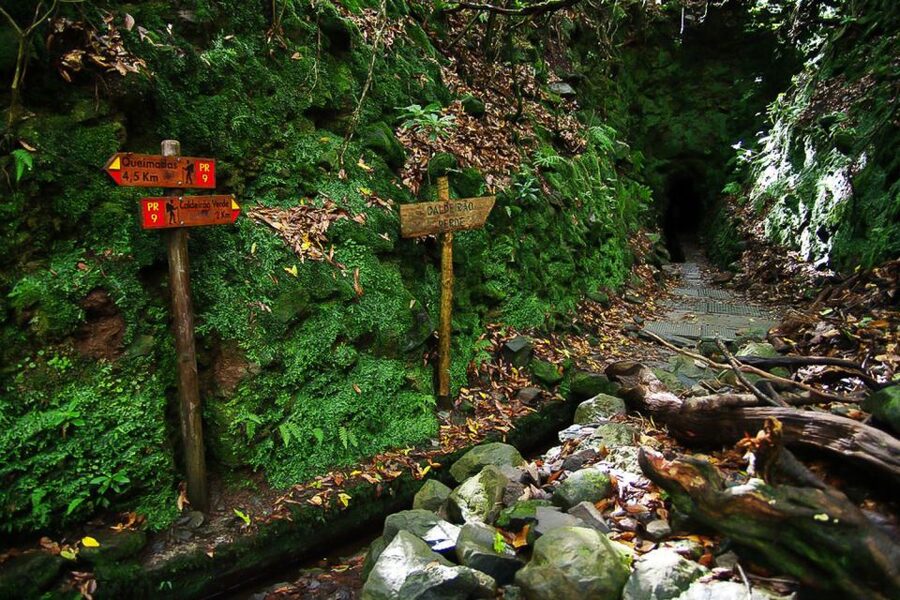 Levada Walk and Caldeirao Verde Waterfalls: Madeira - Santana and São Jorge Views, Plus That Verde Water Moment