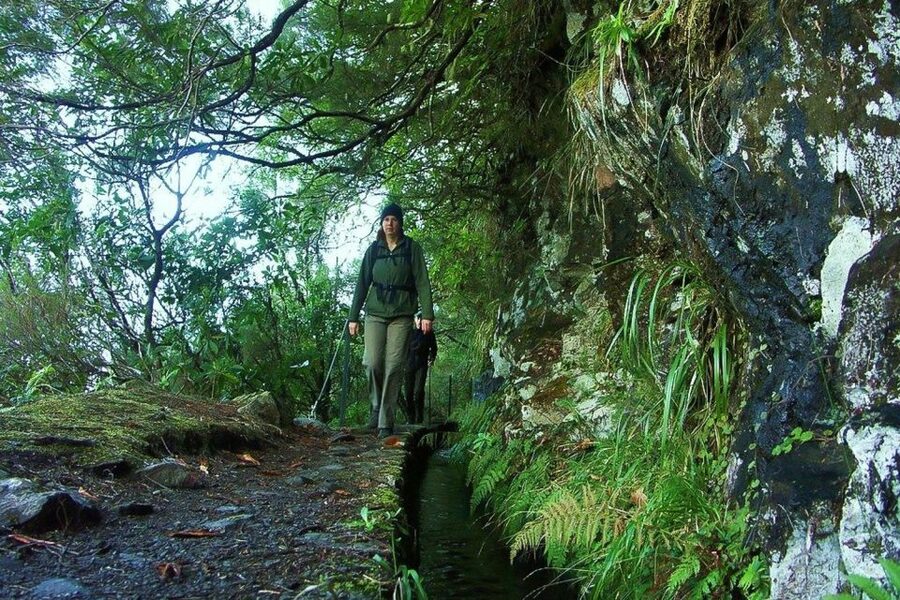 Levada Walk and Caldeirao Verde Waterfalls: Madeira - The 7-Hour Rhythm: Walking, Transfers, and That Picnic Window