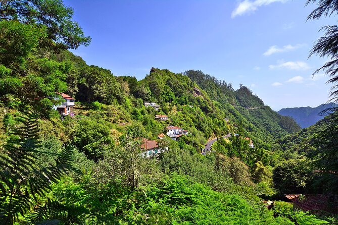 Levada Walk from Ribeiro Frio to Portela - Your guide can change the vibe: Ruby and Benny as examples