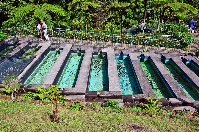 Levada Walk from Ribeiro Frio to Portela - Price and value: what you are actually paying for