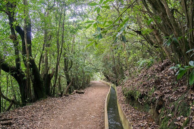 Levada Walk from Ribeiro Frio to Portela - Ribeiro Frio start: what the trail feels like in the morning
