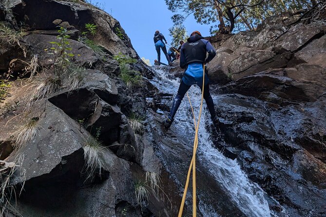 Level 2 - Canyoning Adventure - Intermediate | Funchal - Price and Value: What You Really Get for $95.34