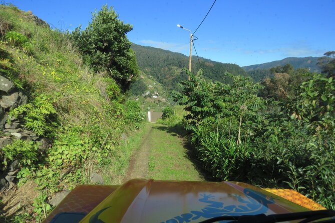Local Farmers Market and 4WD Experience from Funchal - Getting around in an open-top 4x4 from Funchal, Caniço, and beyond