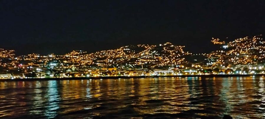 Madeeira: Sunset dinner cruise - Wildlife chances and sea-level perspective