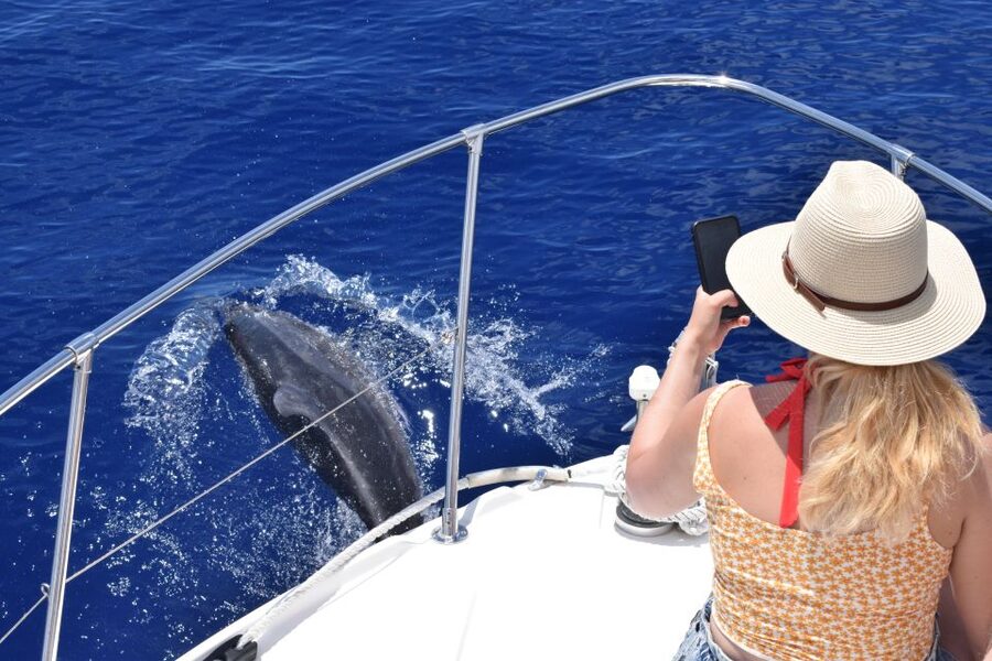 Madeira: 2.5-Hour Whale and Dolphin-Watching Cruise - The Cruise Route: Small Villages, Natural Valleys, and a Lot of Sightseeing Time