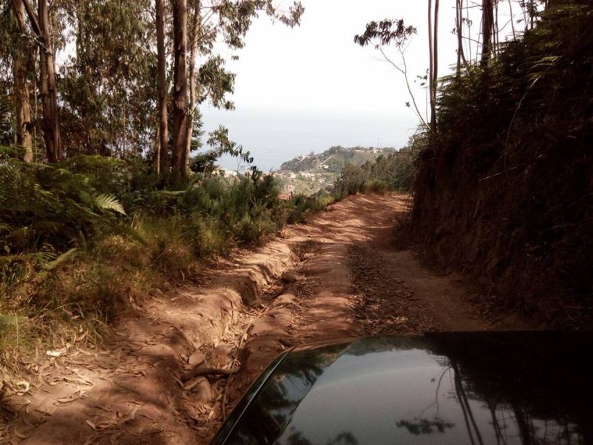 Madeira 2 Full-Day & 1 Half-Day 4x4 jipe Special Tour Combo - Day 2 West Madeira: Ribeira Brava, Paúl da Serra, Fanal, Porto Moniz, and Encumeada