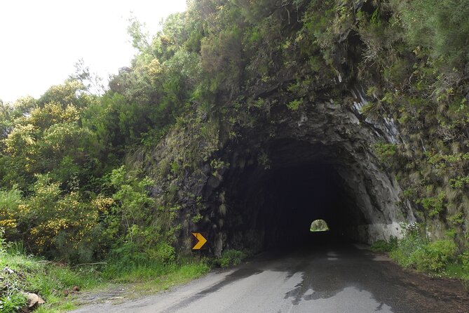 Madeira 4x4 Jeep Safari : Porto Moniz, Lava Pools & Fanal Forest - Ribeira Brava to Ponta do Sol: Towns With Working History, Plus Your Break