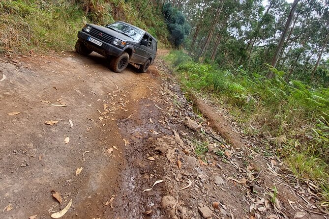 Madeira 4x4 Jeep Safari : Porto Moniz, Lava Pools & Fanal Forest - Seixal Black Sand Beach and Henriques & Henriques Wine, Weekdays Only