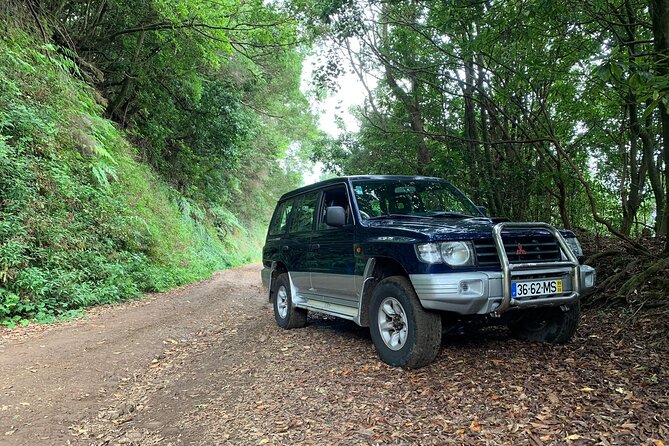Madeira 4x4 Jeep Tour : Pico Arieiro & Santana Traditional Houses - Pico do Arieiro at 1,818 m: Where the Island Feels Huge