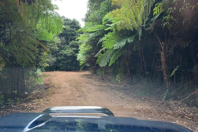 Madeira 4x4 Jeep Tour : Pico Arieiro & Santana Traditional Houses - Guides Like Tiago and Miguel: Friendly, Practical, and Stop-Focused