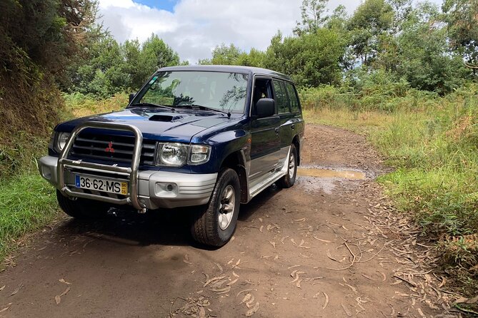 Madeira 4x4 Jeep Tour : Pico Arieiro & Santana Traditional Houses - Vereda dos Balcões: An Easy Track Through Laurissilva Country
