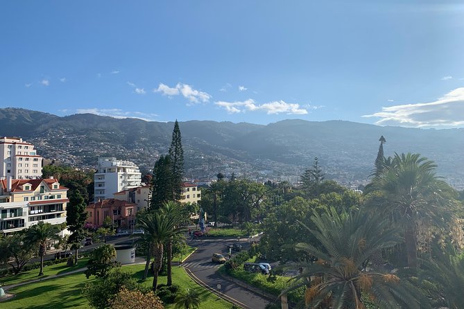 Madeira Airport Round Trip Shuttle Transfers Service - Return to the Airport, With Time to Spare