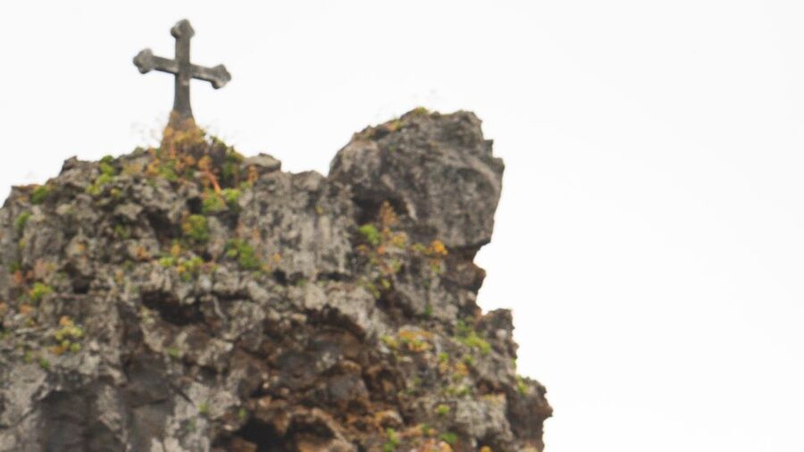 Madeira all day jeep nature tours. - Fanal Ancient Forest at Porto Moniz: The Day Gets Quieter Here