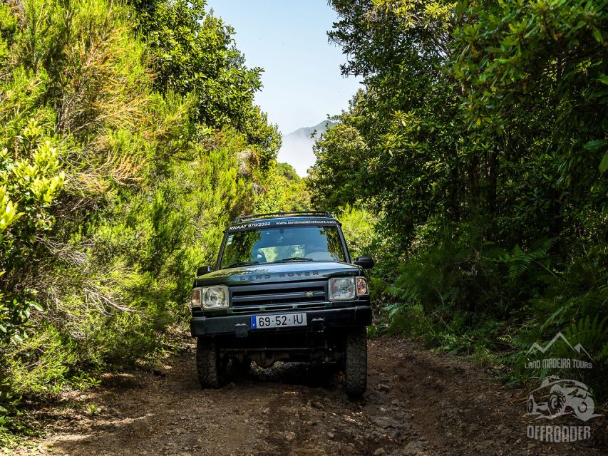 Madeira all day jeep nature tours. - Pico do Areeiro Sunrise or Sunset: Timing the Light