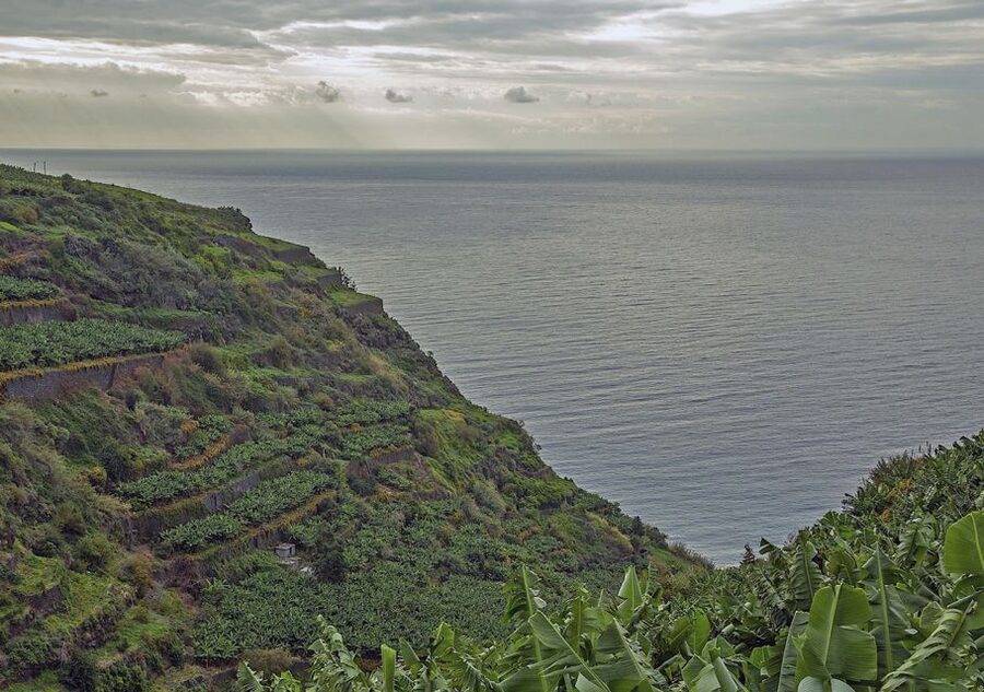 Madeira: Amazing West - Porto Moniz - Seixal and São Vicente: waterfalls and big-coast viewpoints