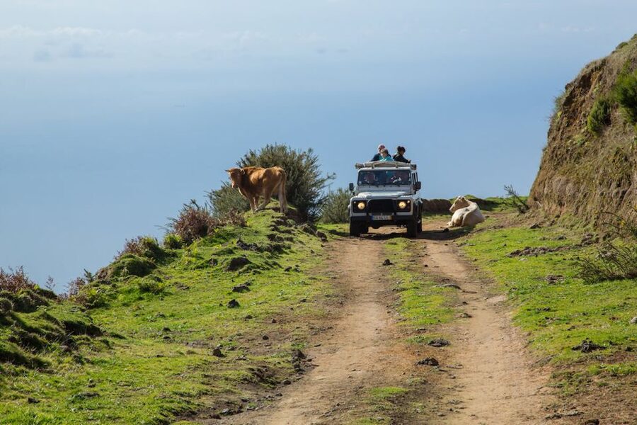 Madeira: Amazing West - Porto Moniz - Price and logistics: what $72 buys you in real terms