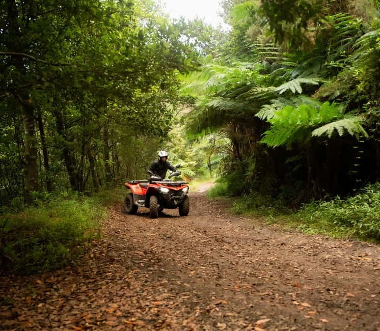 Madeira: Aventura Off-Road de ATV ou Quad - Adrenalina - Why a Madeira quad tour is more than a thrill ride