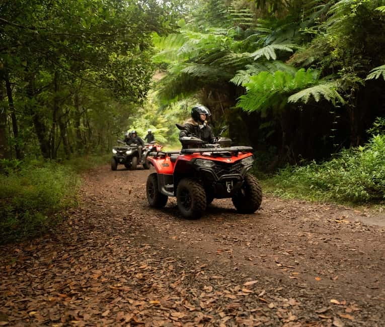 Madeira: Aventura Off-Road de ATV ou Quad - Adrenalina - Meeting at Bar o Caniçal: logistics that actually matter