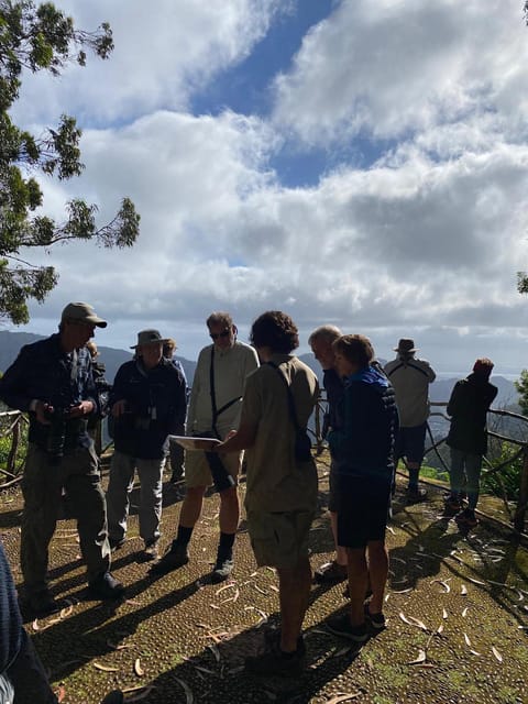 Madeira: Birdwatching - The Endemics - The Guide Factor: Why Alex and Alexandre Made the Difference