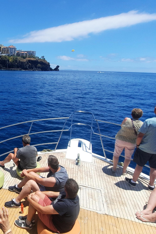Madeira: Boat Trip with Lunch, Drinks, and Hotel Transfer - Wildlife on Madeira’s coast: dolphins, and sometimes whales
