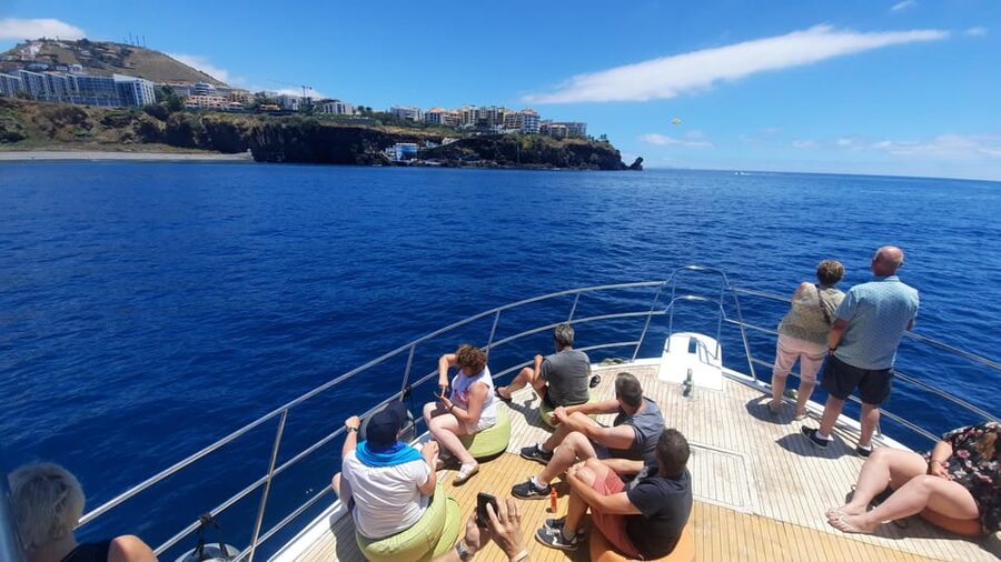 Madeira: Boat Trip with Lunch, Drinks, and Hotel Transfer - Buffet lunch with Madeira flavors: simple, filling, and well-run